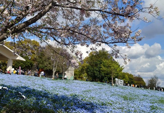 舎人公園