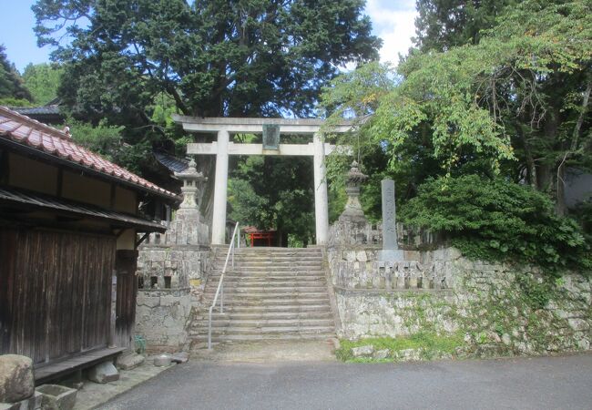 大森代官所跡の隣でした