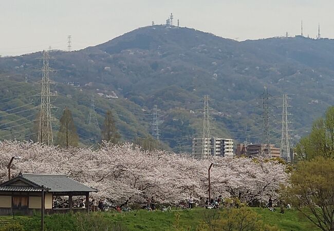 深北緑地