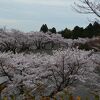 仏像の解説が正確さに欠ける