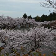 仏像の解説が正確さに欠ける