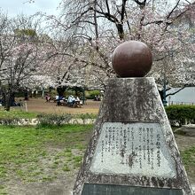 桜が咲いた浜町公園