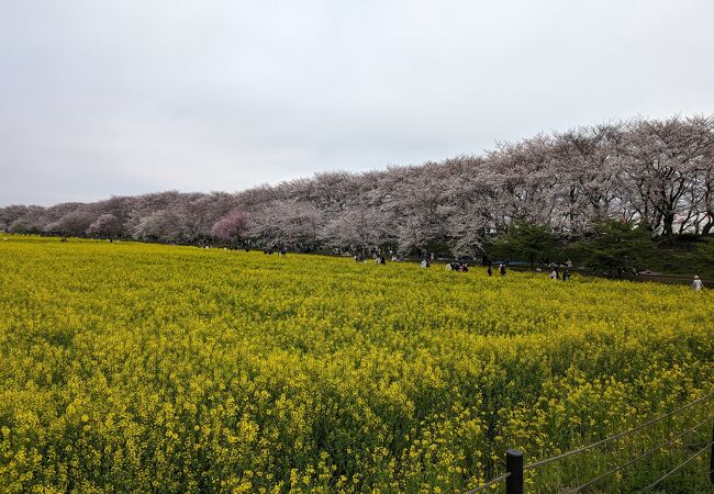 遠いけど毎年行きたい場所