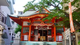 鳥居や社殿の若々しい明るい赤色が印象的