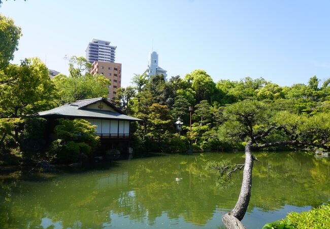 池泉回遊式の大名庭園のような堂々とした造り