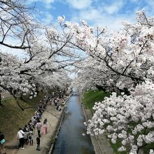 大中公園