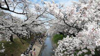 大中公園