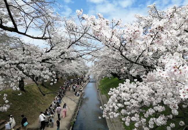 大中公園