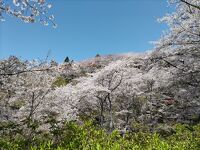 正福寺山公園