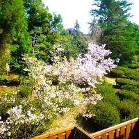 窓からの山里の景観は桜