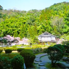 自慢の庭園を囲むようにレイアウト