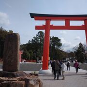 いろいろな桜も楽しめる神社です。