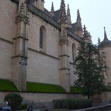 カテドラルの外壁