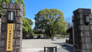江戸時代の代表的な大名庭園　背景には近代ビル群