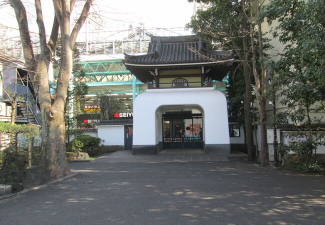 三鷹(2)・武蔵野散策で月窓寺にお参りしました