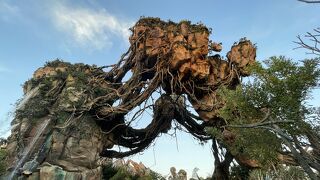 アバター必見！