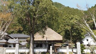 たくさんの仏像がむかえてくれます