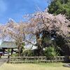 青梅山金剛寺