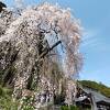 梅岩寺