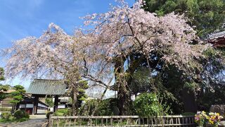 青梅山金剛寺