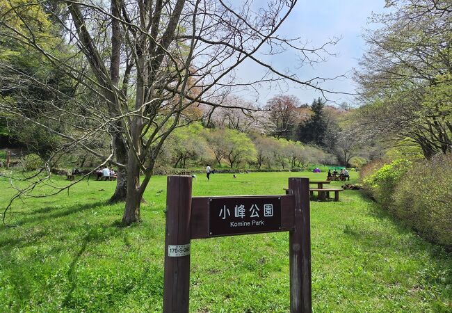 都立小峰公園