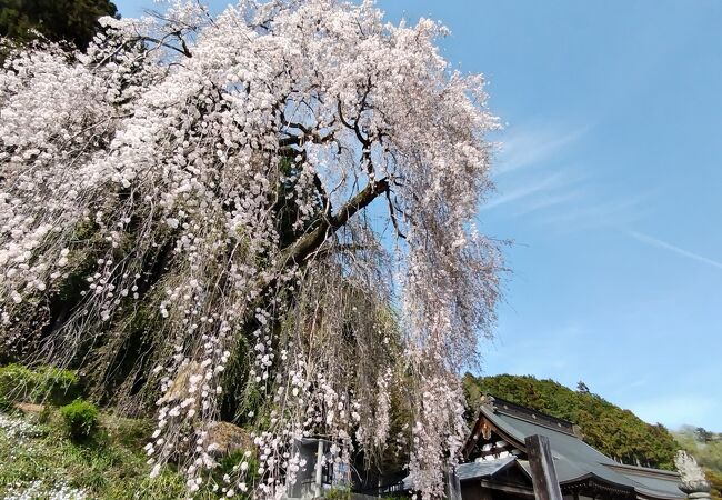 梅岩寺