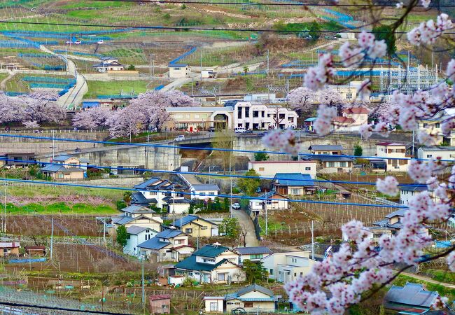 勝沼ぶどう郷駅からぶどうの丘まで往復した