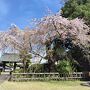 青梅山金剛寺