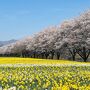 岩井親水公園