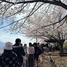 展望デッキの列