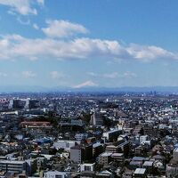中央に雄大な富士山が見えます