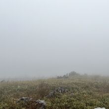 天狗高原、濃霧ですね･･･