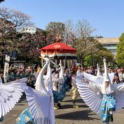 ヾ(*｀･∀･´*)ノ 浅草寺『白鷺の舞』は2024年4月14日（日曜日）に奉演が行われましたｗｗ