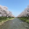 桜の季節にしか見れない　カルテット