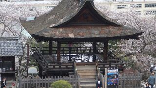 広い境内。琵琶湖の眺めがいい。