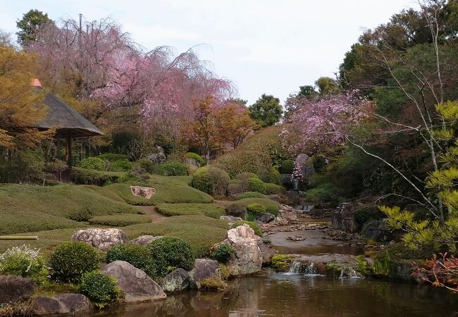 妙心寺