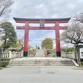 「亀戸天神社」まだ藤の時期ではありませんが、初めて行きました！