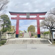 亀戸天神社