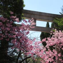 兵庫縣姫路護國神社