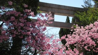 兵庫縣姫路護國神社