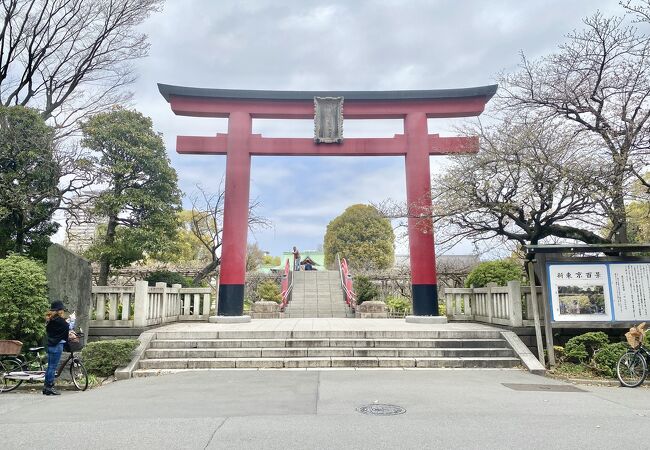 「亀戸天神社」まだ藤の時期ではありませんが、初めて行きました！