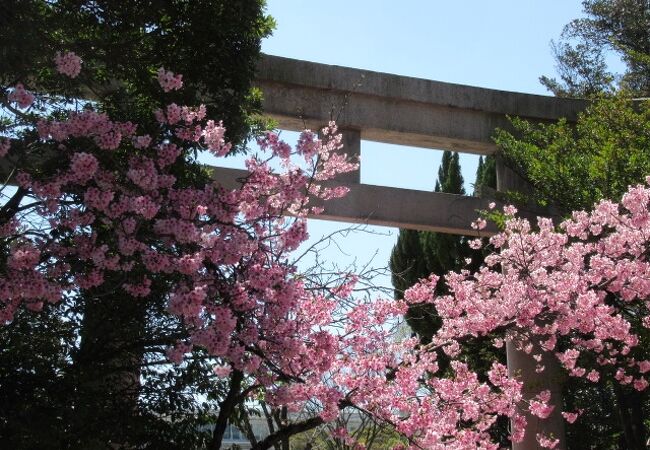 兵庫縣姫路護國神社