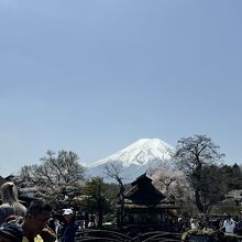 外国人観光客だらけでした