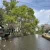 透き通った水がきれいな川