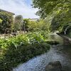 川の上に造られた遊歩道で水辺の散策を楽しめる