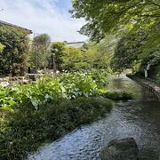 川の上に造られた遊歩道で水辺の散策を楽しめる