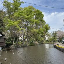 桜川