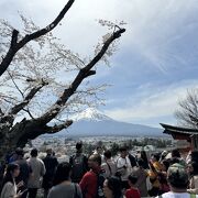 ベビーカーで公園まで、階段横の迂回道路で上がれます。展望デッキへはベビーカーで行けません。