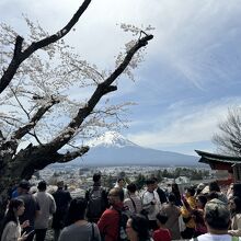 外国人観光客だらけでした。