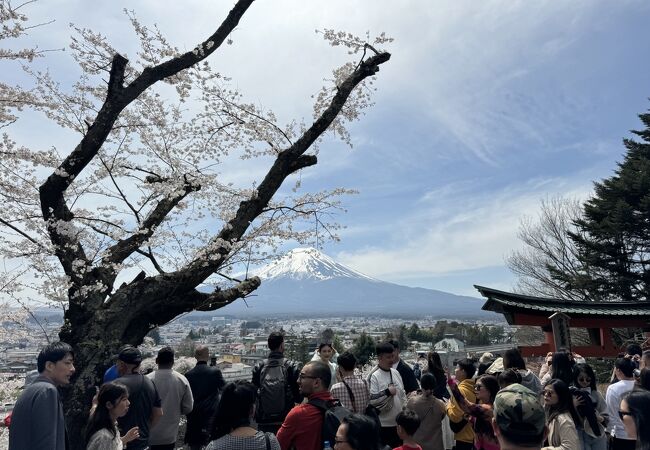 ベビーカーで公園まで、階段横の迂回道路で上がれます。展望デッキへはベビーカーで行けません。